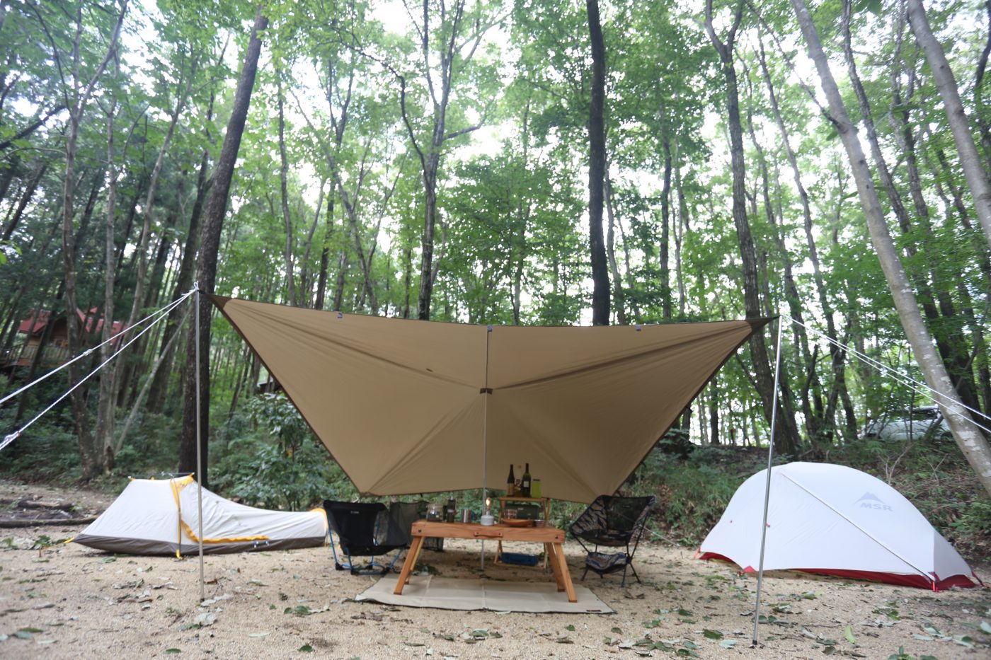 レビュー】DDタープっぽいアクアクエストのタープはソロ・ペア