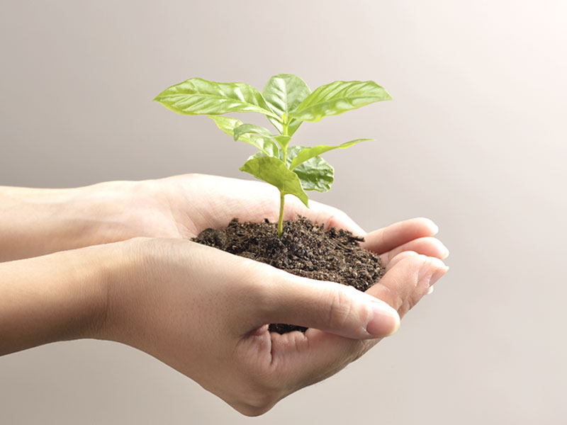 日本の競争力復活へ「減点主義もうやめよう」 AGCの平井CEO：日経