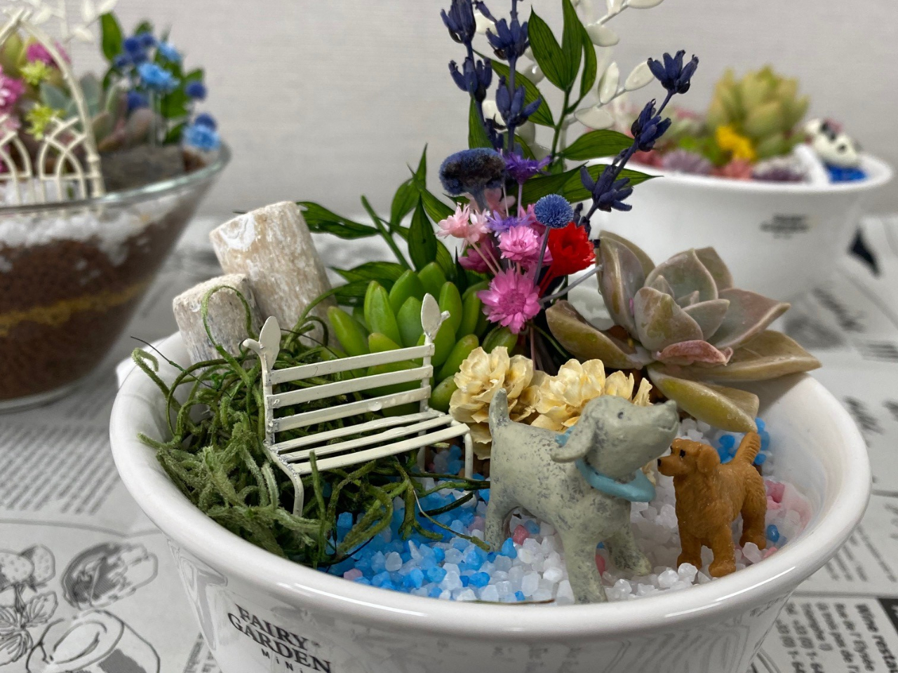 当日予約可！カップルや男性にも人気！箱庭風ミニチュアガーデン【多肉