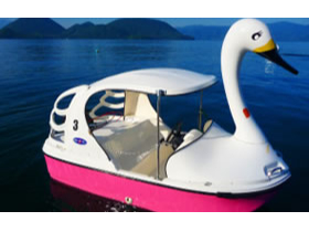 ☆エンジン付きスワンボート☆免許不要で操作も簡単！3名までOK◎/洞爺