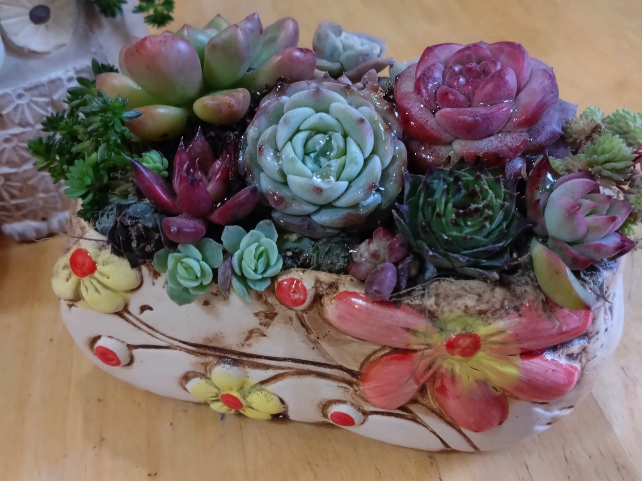 戸塚×寄せ植え】多肉orサボテンの寄せ植え体験2800円！ 湘南に程近いお