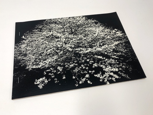 FLOWERS - 森山大道 | AKIO NAGASAWA