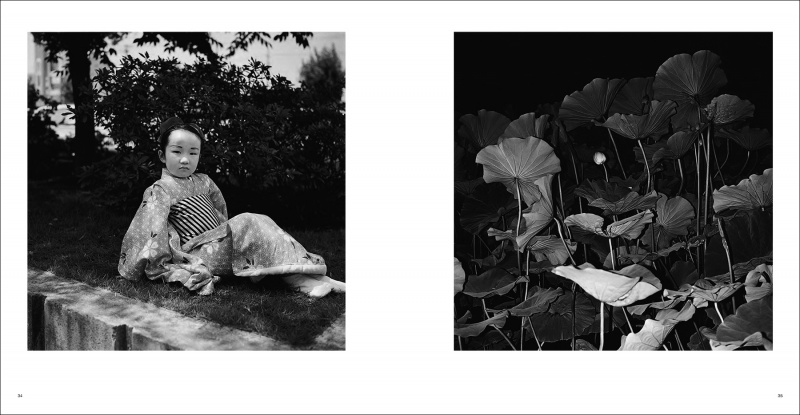 風姿花伝／完全版（A.P.） - 須田一政 | AKIO NAGASAWA