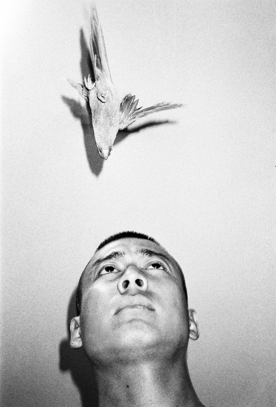 Lin Zhipeng (林志鹏) aka No.223 - Artist | AKIO NAGASAWA