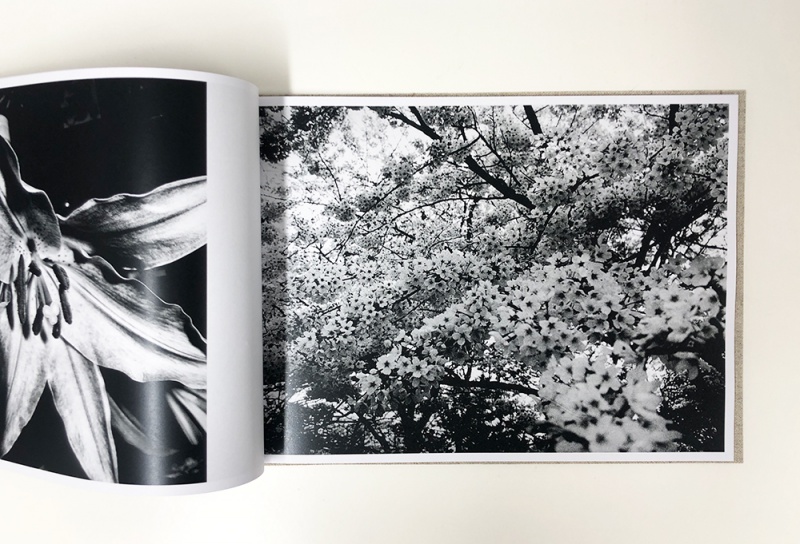 FLOWERS - 森山大道 | AKIO NAGASAWA