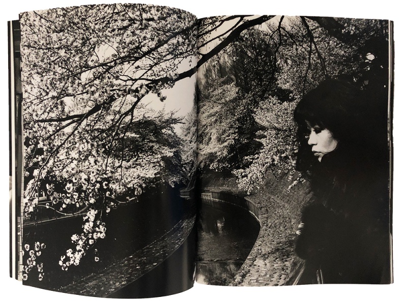 NAGISA - 森山大道 | AKIO NAGASAWA