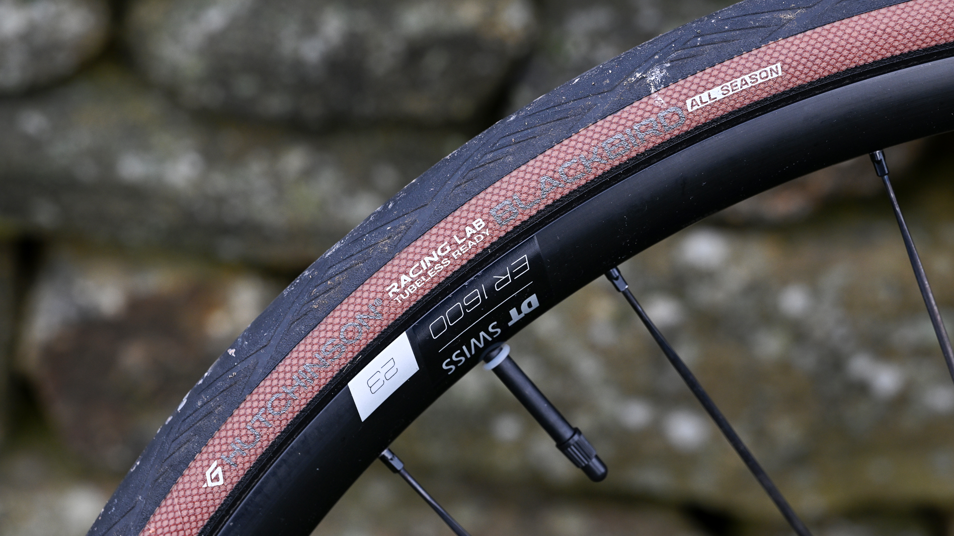 Prime RR50 BlackEdition X CeramicSpeed DB 50 wheelset review