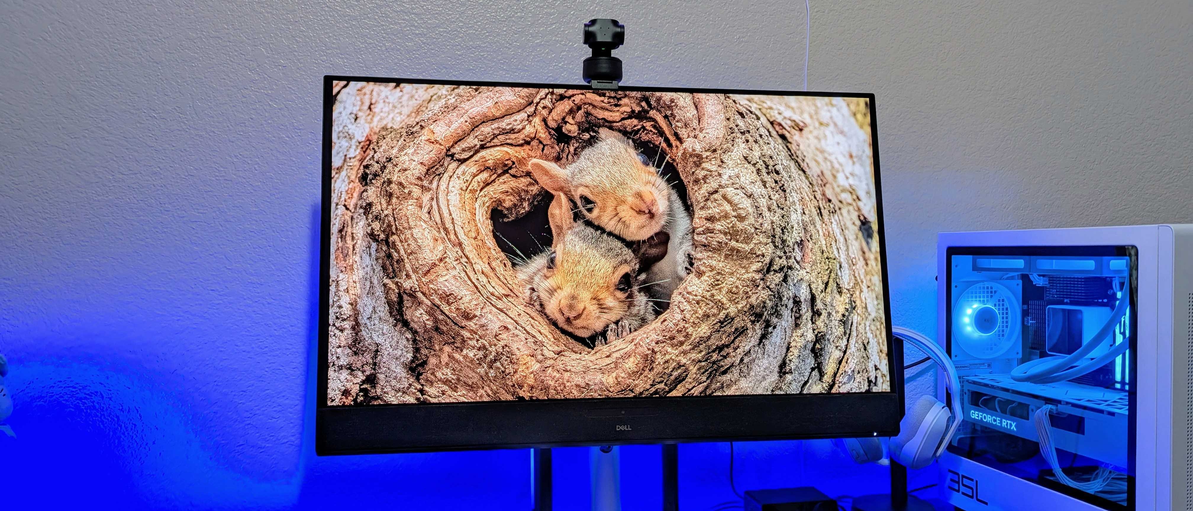 Dell 32 Plus 4K QD-OLED Monitor review: Something's missing