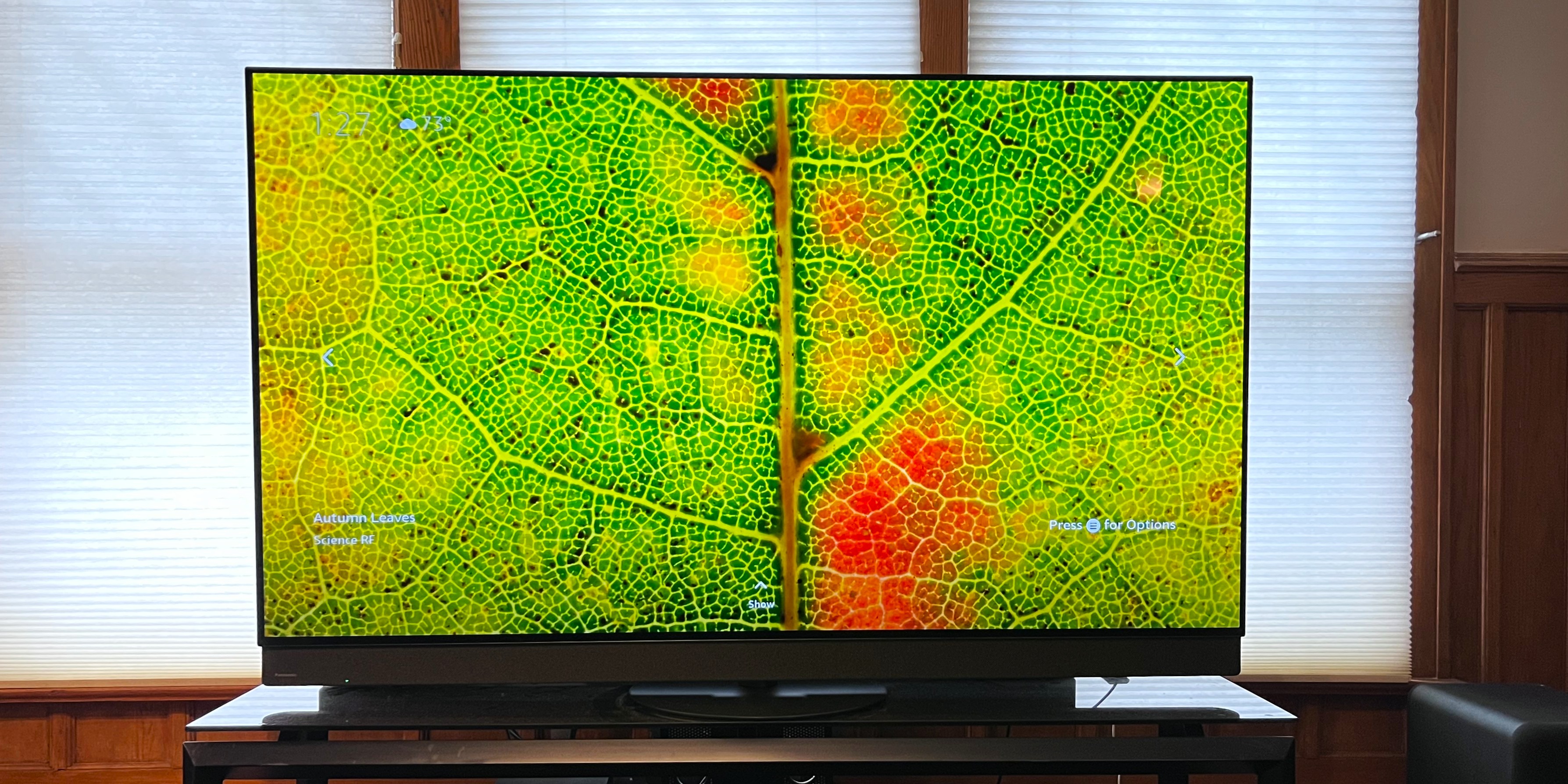 Panasonic Z95B review: a flagship OLED TV that combines refined