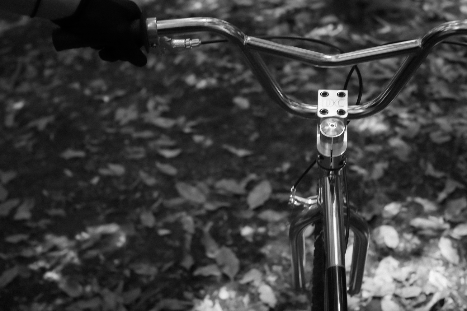 クラシカルなスタイルとプロスペックの融合。新鋭ストリートブランド