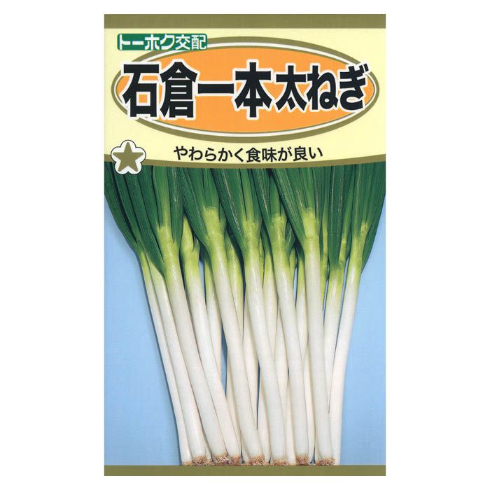 トーホク ネギ 石倉一本太ねぎ ＜葉野菜の種＞の通販｜ネギ・ニラ