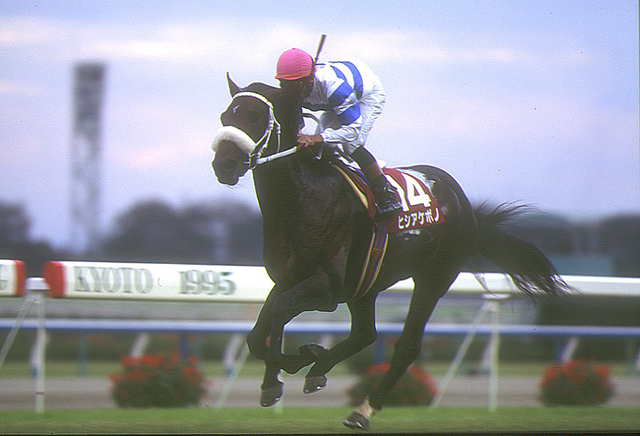 560kgの大型馬が得た最速の称号 ヒシアケボノのJRA史上最高馬体重での