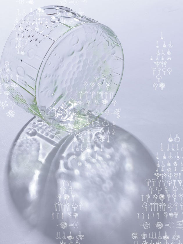 販売終了】Art Flora | | iittala