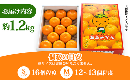 6〜8月発送】山北温室みかん 1.2kg ミカン蜜柑 ku-0050 | 高知県香南市