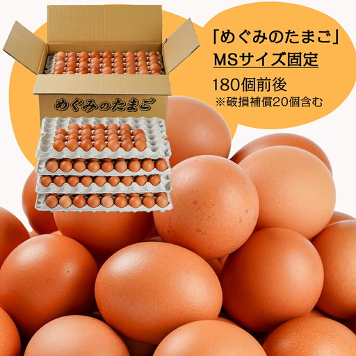 星空が綺麗な町より～「めぐみのたまご」 (MSサイズ)10kg_17-6801_(都