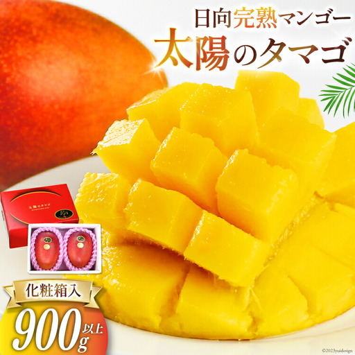 マンゴー 太陽のタマゴ 秀品 900g以上 [452060664] マンゴー | 宮崎県