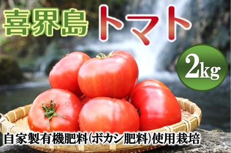 喜界島トマト』自家製有機肥料(ボカシ肥料)使用栽培 2kg | 鹿児島県