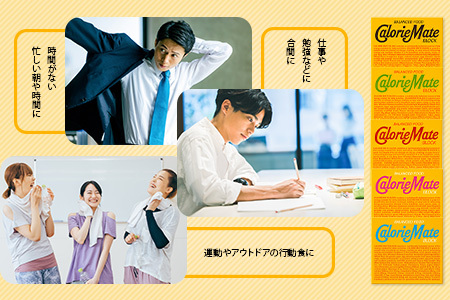 大塚製薬】カロリーメイト ブロック【チョコレート味】4本入り×30箱