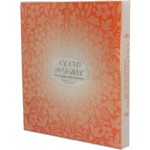 NANNO DVD BOX Yoko Minamino 20th Anniversary 中古DVD・ブルーレイ
