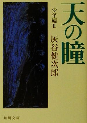 書籍全巻セット・まとめ買い】天の瞳(文庫版)セット | ブックオフ公式