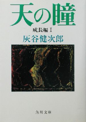 書籍全巻セット・まとめ買い】天の瞳(文庫版)セット | ブックオフ公式