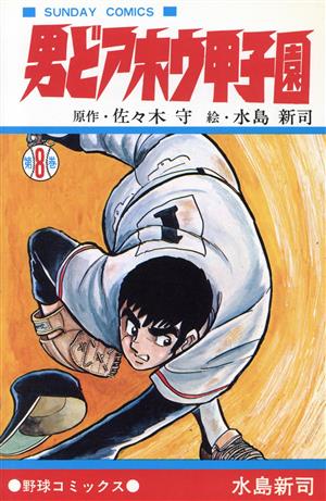 コミック全巻セット・まとめ買い】男どアホウ甲子園(全28巻)セット