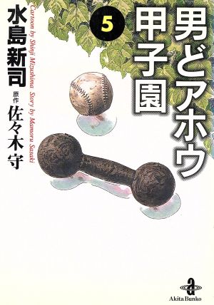 コミック全巻セット・まとめ買い】男どアホウ甲子園(文庫版)(全18巻