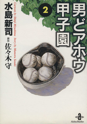 コミック全巻セット・まとめ買い】男どアホウ甲子園(文庫版)(全18巻