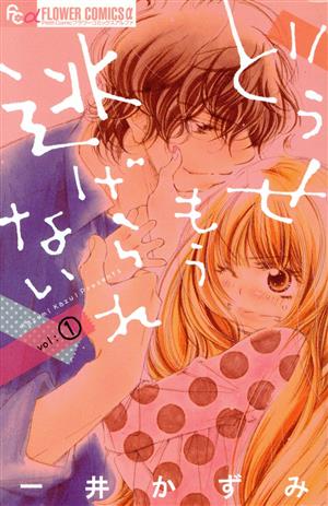 コミック全巻セット・まとめ買い】どうせもう逃げられない(全10巻