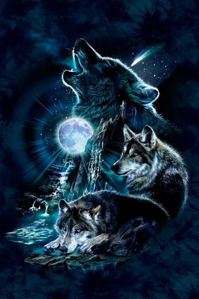 Bark At The Moon by Antonia Neshev | iStyles