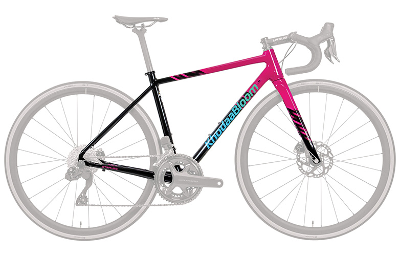 サイクルショップカンザキ千里店 / フレームセット