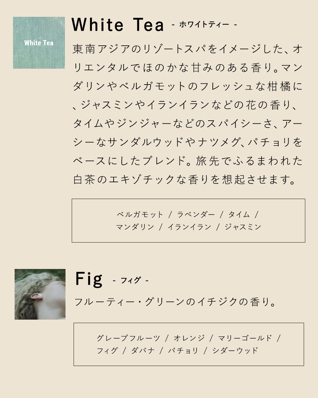 APFR アポテーケ インセンス スティック INCENSE STICK [FLORAL