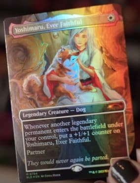 統率者デッキ「Raining Cats And Dogs」は買うべき？海外シングル価格