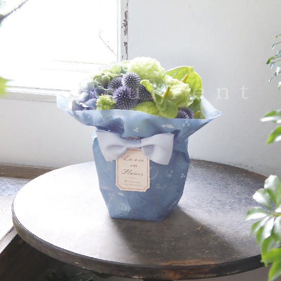 鉢カバー・バスケット | 株式会社カレント - 花器・花材・ラッピング