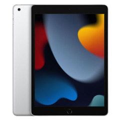 第5世代】iPad mini5 Wi-Fi 256GB スペースグレイ MUU32J/A A2133|中古