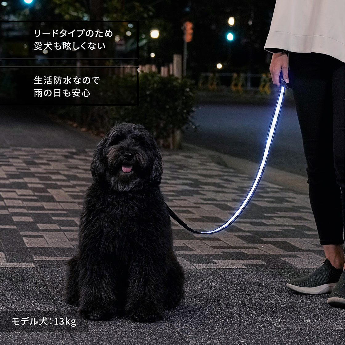 ナイトウォーカー® LED光るリード – Darlin'Yu