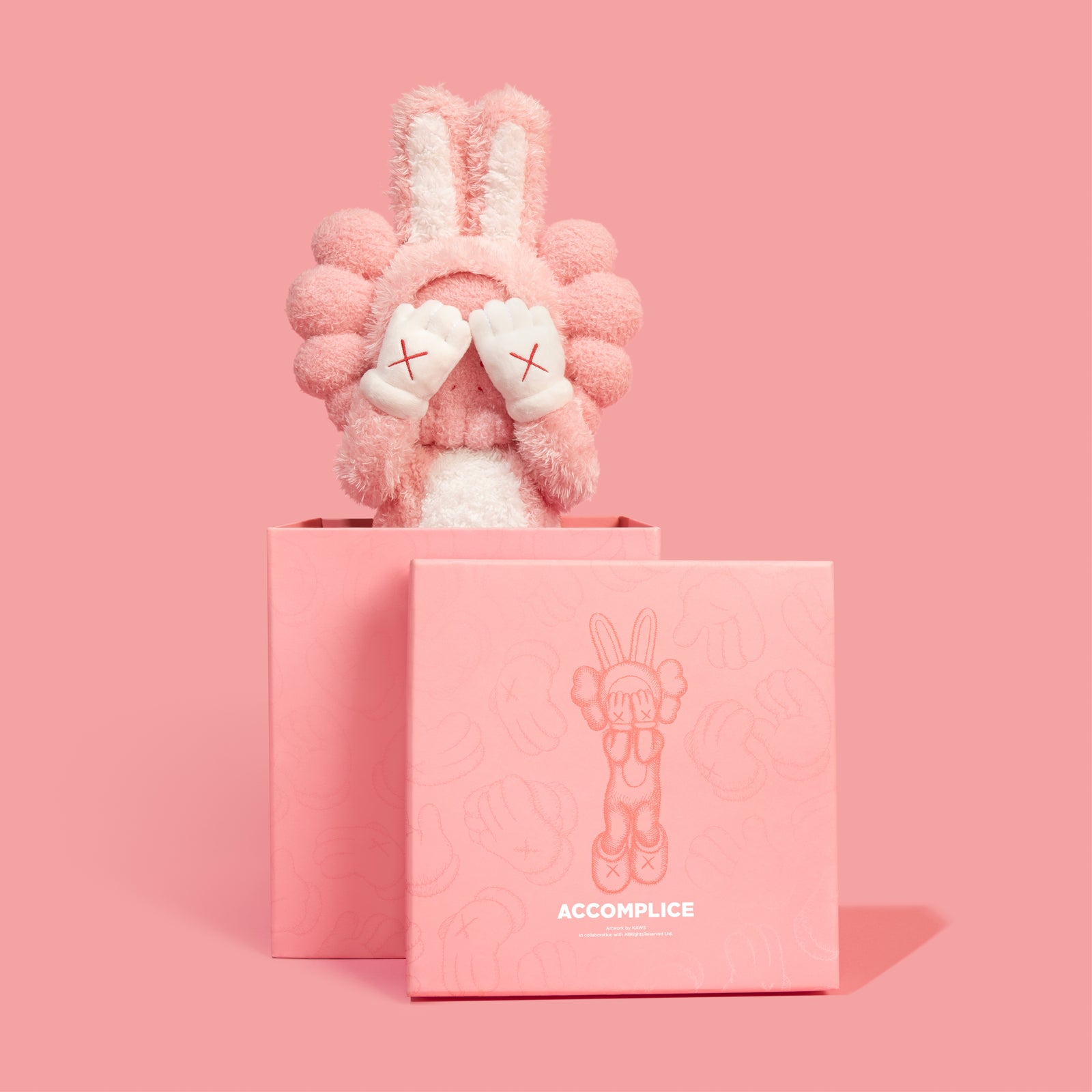 KAWS ACCOMPLICE PLUSH – DDTStore
