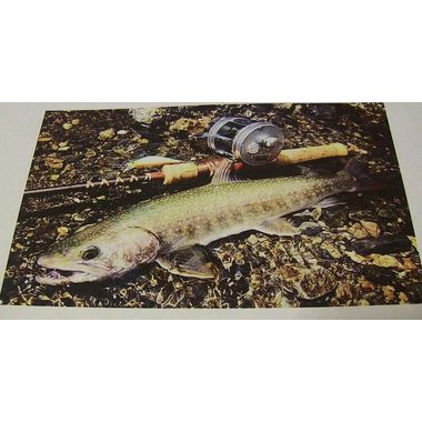 フェンウィックFS53CL-3J 商品詳細｜でんでんまる｜雷魚をはじめとした