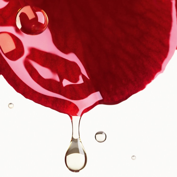 ボディミスト N°1 ドゥ シャネル: CHANEL｜DEPACO 大丸・松坂屋