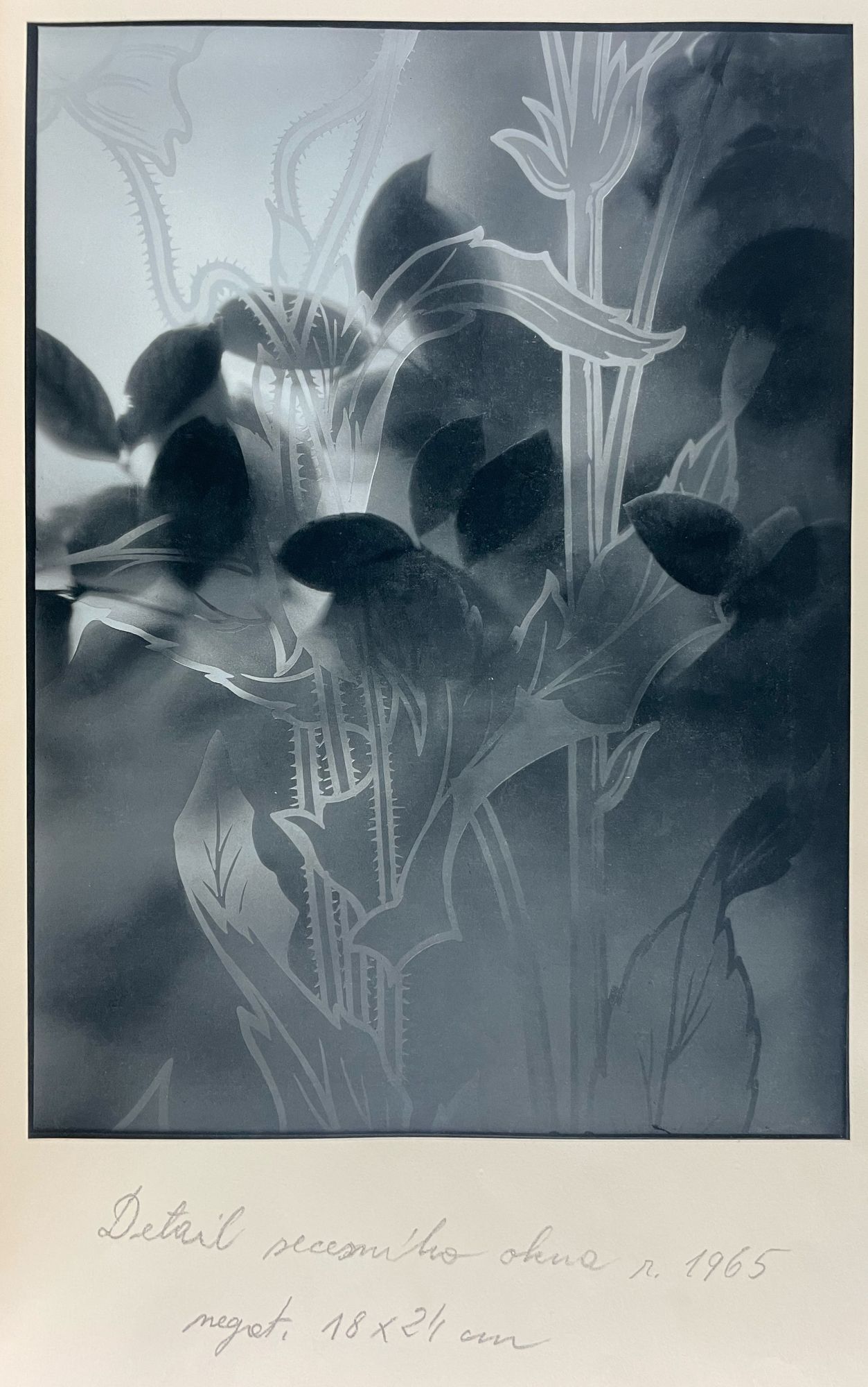 39960.jpg?auto=webp&v=1676412251