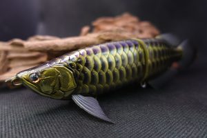 皇 SUMERAGI | dranckrazy