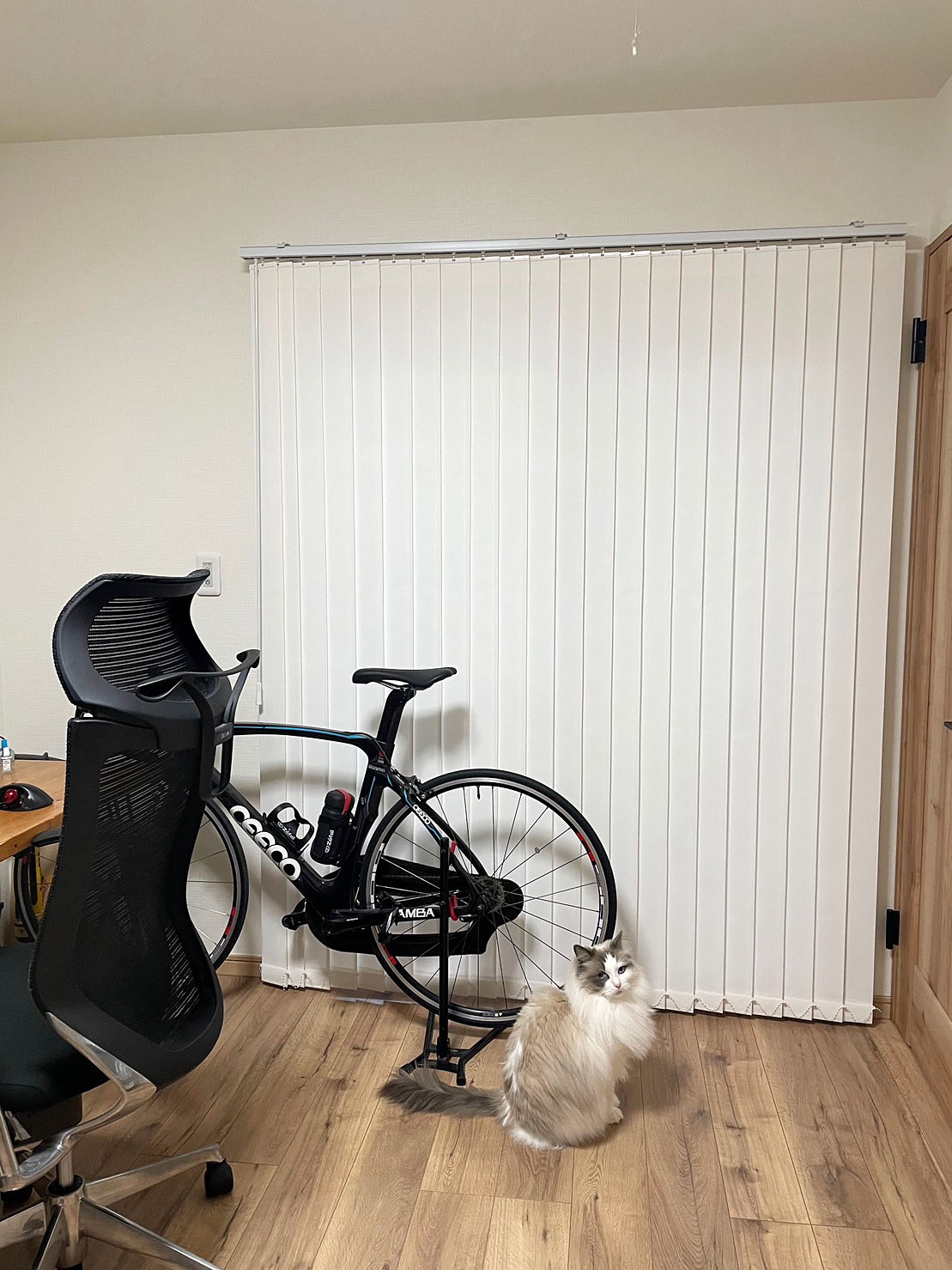 バーチカルブラインド | イージーブラインド.jp