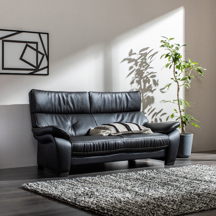 2.5人掛(大）ソファ ZW7322 ブラック シアーブラック 通販 | 【公式