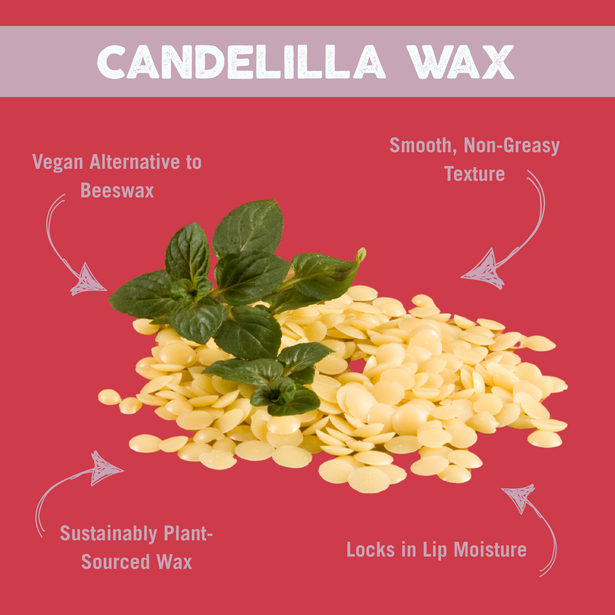 Vegan Bee Free® Plant Pod® Superfruit Organic Lip Balm, 3 pack