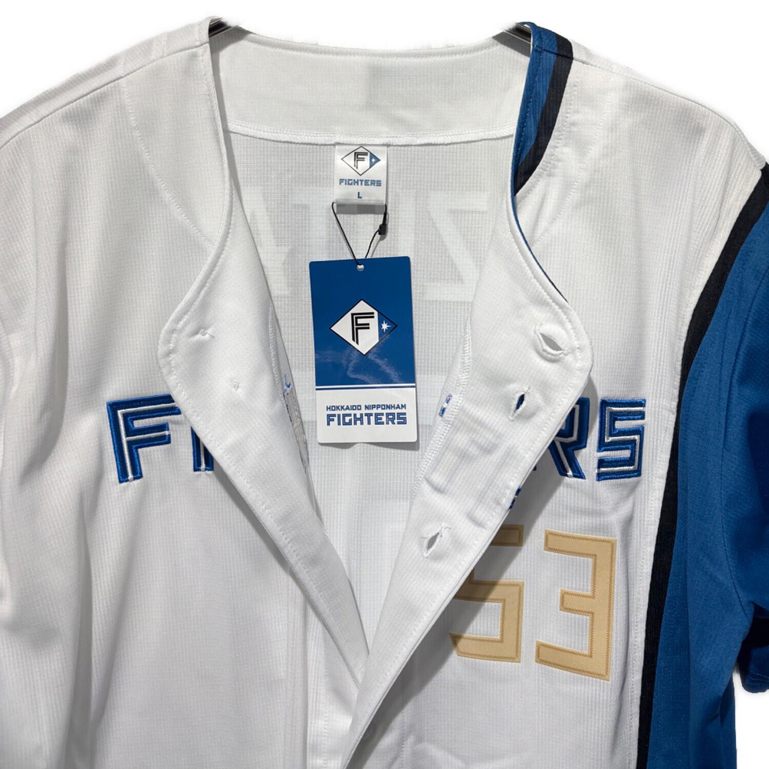 北海道日本ハムファイターズ (ホッカイドウニッポンハムファイターズ