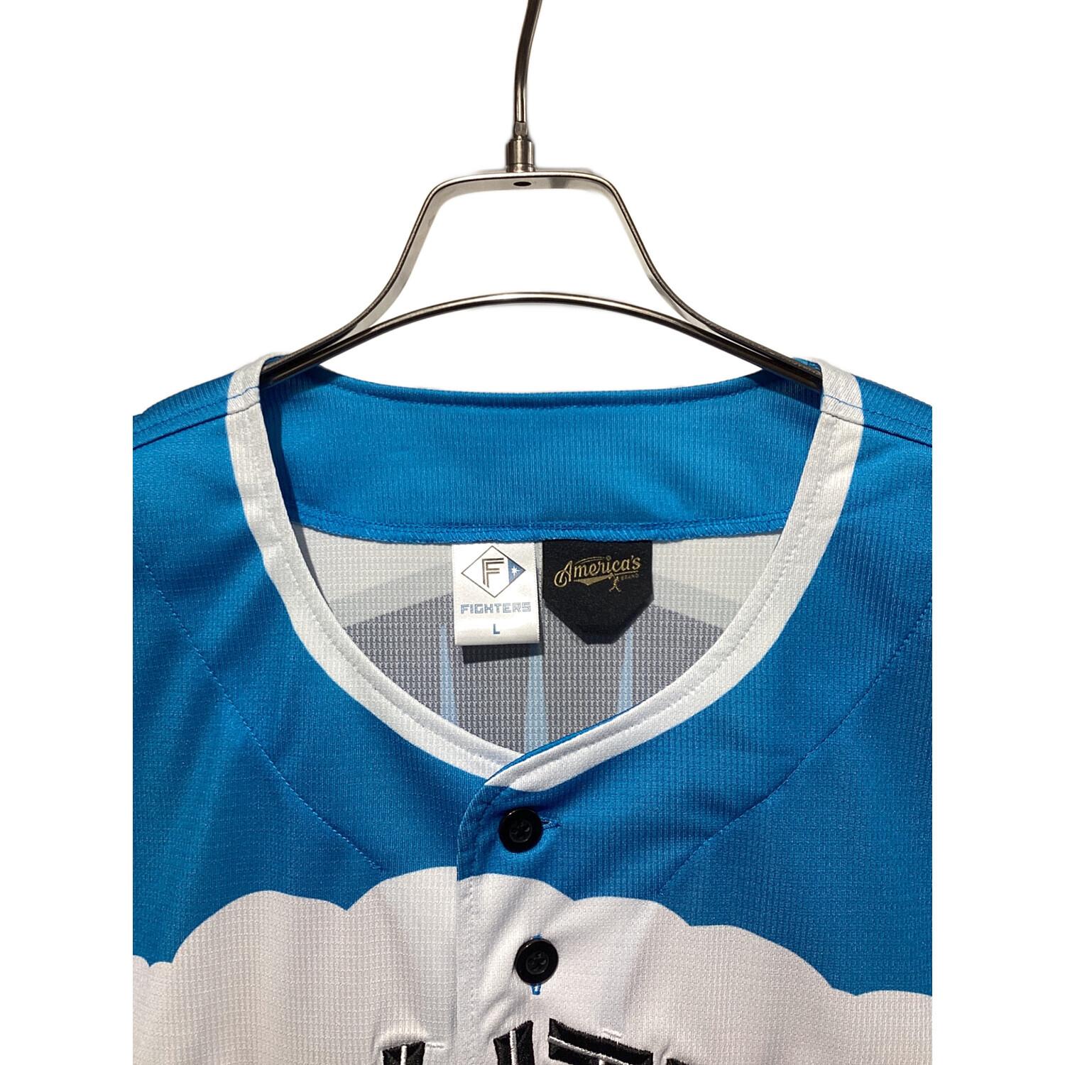 北海道日本ハムファイターズ (ホッカイドウニッポンハムファイターズ