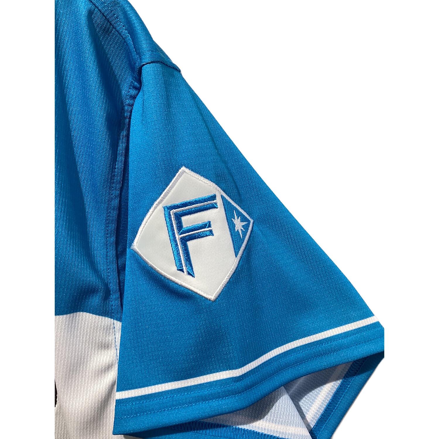 北海道日本ハムファイターズ (ホッカイドウニッポンハムファイターズ