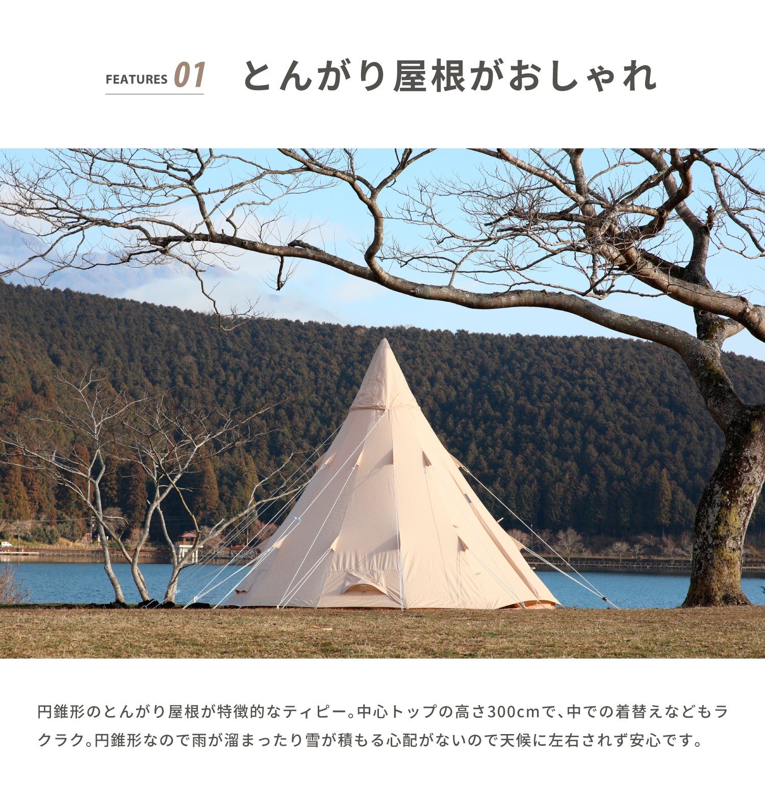 tippo400-04.jpg?v=1732517493&