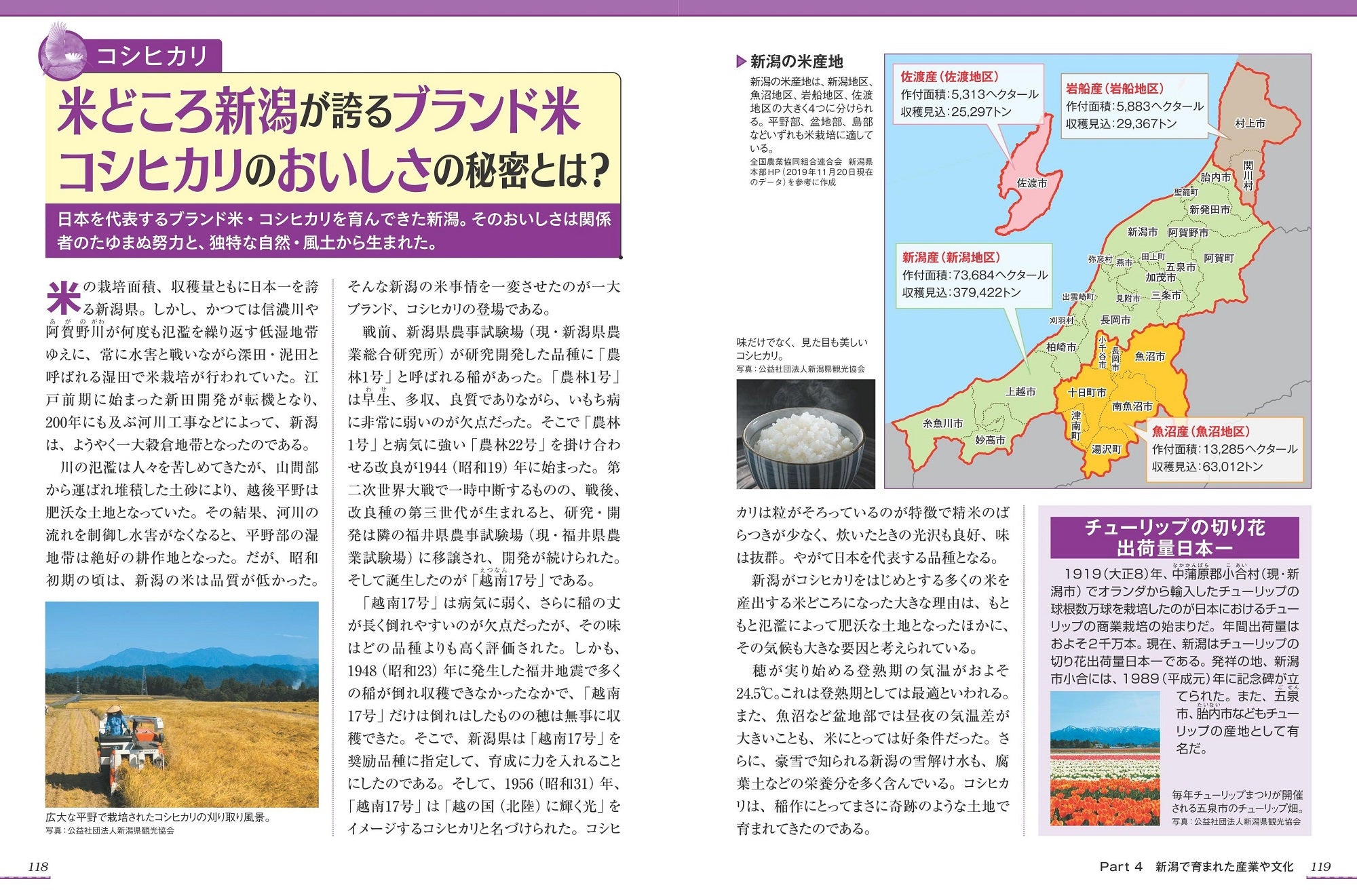 新潟のトリセツ – 昭文社オンラインストア