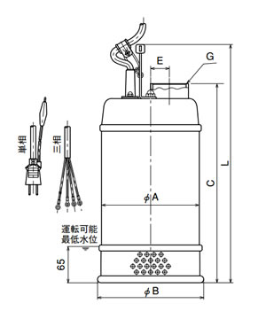 寺田ポンプ ステンレス水中ポンプ CS-250 60Hz 単相100V の通販 | 資材